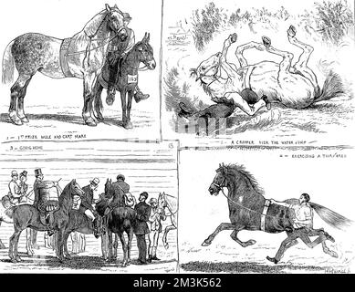 The Horse Show, Alexandra Park, Londres 1873 Banque D'Images