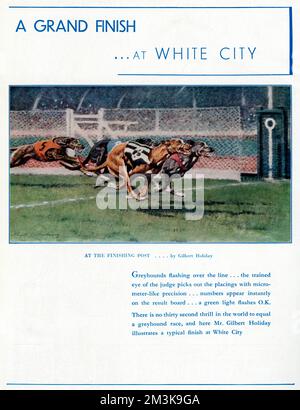 Annonce pour White City Greyhound Racing 1937 Banque D'Images