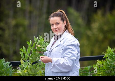 étudiante scientifique féminine dans une université. étudier la science des plantes faire des expériences en amérique Banque D'Images
