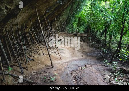 La croyance que la longévité en Thaïlande est l'utilisation de béquilles de montagne. Banque D'Images