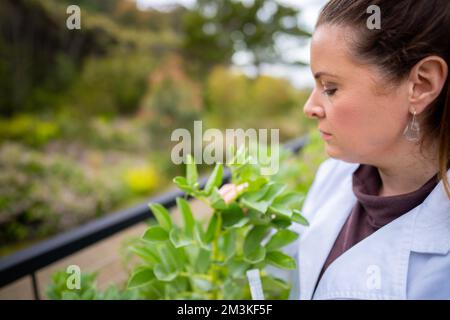 étudiante scientifique féminine dans une université. étudier la science des plantes faire des expériences en amérique Banque D'Images