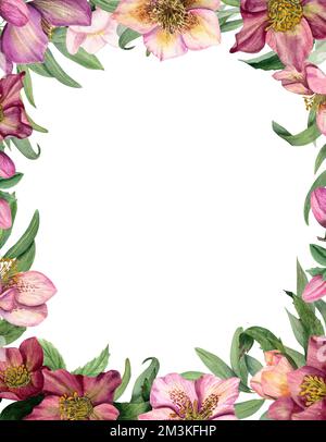 Cadre floral vertical avec hellébores aquarelles isolées sur fond blanc. Pour les cartes postales, modèle d'invitation, pour les cartes de Saint-Valentin Banque D'Images