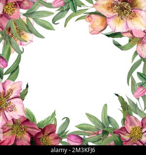 Cadre floral carré avec hellébores aquarelles isolées sur fond blanc. Pour la conception de cartes de vœux, modèle d'invitation, pour les cartes de Saint-Valentin Banque D'Images