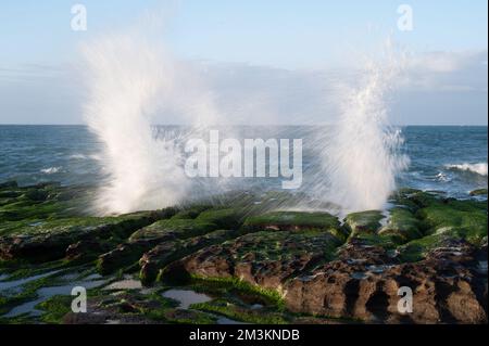 Les grandes vagues blanches se lancent contre les rochers. Mer bleue, collines rocheuses. Paysage de la côte nord. Taïwan. Banque D'Images