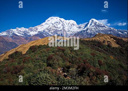 Vue panoramique sur la montagne sud d'Annapurna dans l'Himalaya, au Népal Banque D'Images