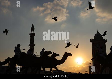 Sicherheitskräfte mit ihren Kamelen auf einer Wiese vor dem Amiri Diwan, dem offiziellen Arbeitsplatz und das Büro des émirs des Staates Katar im Sonnenuntergang les forces de sécurité avec leurs chameaux sur un pré en face de l'Amiri Diwan, Le lieu de travail officiel et le bureau de l'émir de l'État du Qatar au coucher du soleil Fussball WM 2022 au Qatar coupe du monde de football de la FIFA 2022 © diebilderwelt / Alay stock Banque D'Images