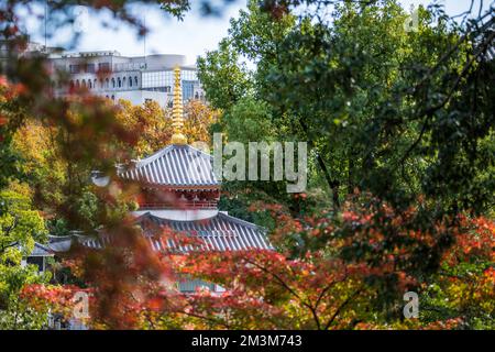 Temple Koshoji à Nagoya, Aichi, Japon Banque D'Images