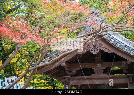 Temple Koshoji à Nagoya, Aichi, Japon Banque D'Images