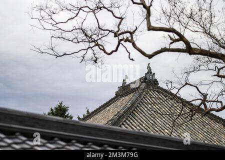 Temple Koshoji à Nagoya, Aichi, Japon Banque D'Images