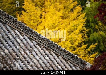 Temple Koshoji à Nagoya, Aichi, Japon Banque D'Images
