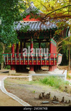 Parc coréen à San Antonio Banque D'Images