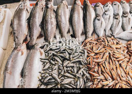 Saumon de mer frais, poisson d'anchois européen et Mullus sur la glace sur la boutique du marché. Poissons de fruits de mer de fond. Le saumon est Une espèce de Banque D'Images