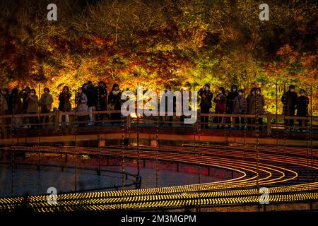 Nabana no Sato Illumination 2022 Banque D'Images