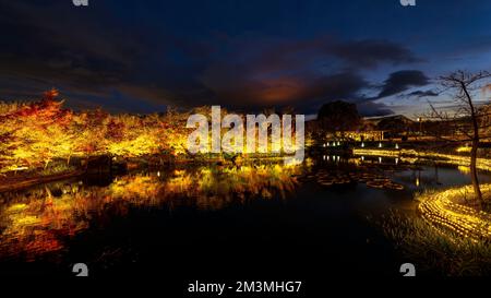 Nabana no Sato Illumination 2022 Banque D'Images