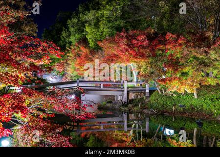 Nabana no Sato Illumination 2022 Banque D'Images