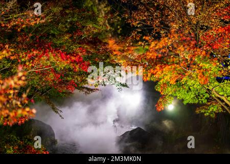 Nabana no Sato Illumination 2022 Banque D'Images