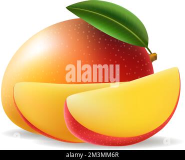 Dessert de mangue en tranches Illustration de Vecteur