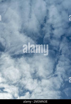 Panorama du ciel. Été bleu ciel nuage dégradé lumière blanc fond. Beauté clair ciel nuageux au soleil calme lumineux hiver air bacille de travail. Banque D'Images