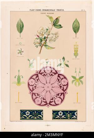 Plantes-formes traitées ornementales - cerisiers en fleurs, cerisiers en fleurs, feuilles, décorations. Collection Louis Prang & Company Banque D'Images