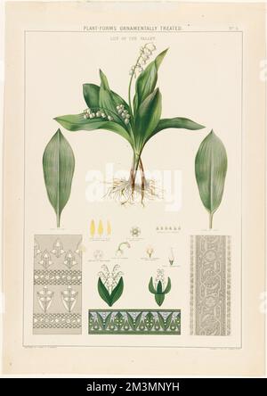 Plantes-formes traitées ornementales - nénuphars de la vallée , fleurs, feuilles, décorations. Collection Louis Prang & Company Banque D'Images