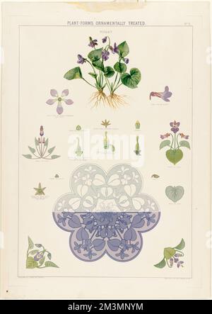 Plantes-formes traitées ornementales - violet , Violets, feuilles, décorations. Collection Louis Prang & Company Banque D'Images