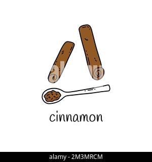 Deux bâtonnets de cannelle et cannelle moulue dans une cuillère à café. Coloré isolé illustration de vecteur alimentaire Doodle dessiné à la main. Ingrédient parfumé et sain. Ci Illustration de Vecteur