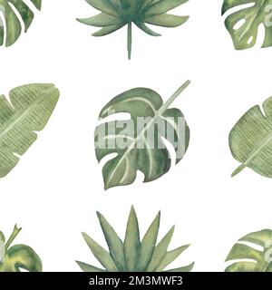 Motif de feuilles tropicales sans couture aquarelle. Papier numérique feuillage. Papier d'emballage floral exotique.feuille de Monstera, feuilles de banane papier vert de scrapbook. H Banque D'Images