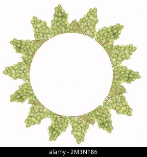 Belle couronne de raisins Watercolor dessinés à la main dans les couleurs vert et jaune. Banque D'Images