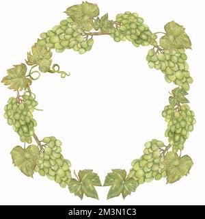 Belle couronne de raisins Watercolor dessinés à la main dans les couleurs vert et jaune. Banque D'Images