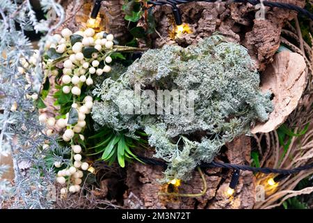 Matériaux naturels de plantes branches écorce graines baies et graines gousses certains teints pour former la décoration de Noël à l'extérieur du magasin à Londres UK 2022 KATHY DEWITT Banque D'Images