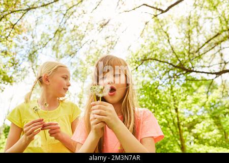 Fille soufflant pissenlits par une amie femelle en se tenant dans le jardin pendant les vacances Banque D'Images