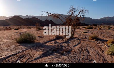 Paysage à Timna Park dans le désert d'Arava, Israël Banque D'Images