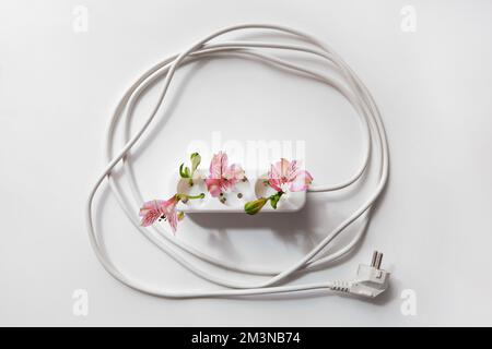 Énergie renouvelable, fiche d'alimentation blanche et fleur rose isolée sur fond blanc. Écologie du changement climatique et utilisation durable de l'énergie verte Banque D'Images