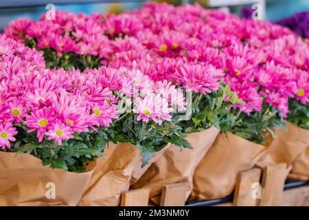 Les bouquets de chrysanthèmes sont vendus dans la boutique du fleuriste pour la fête des mères ou pour d'autres vacances Banque D'Images