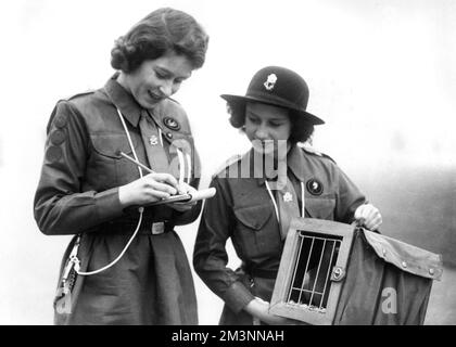 Guides : les princesses Elizabeth et Margaret envoient un courrier Banque D'Images