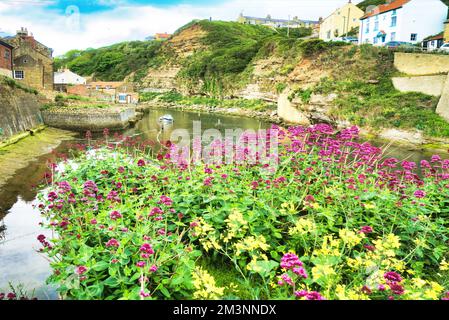 En regardant vers l'ouest en haut de Staithes Beck (rivière) dans le pittoresque village de pêcheurs ancien de la station balnéaire de Staithes. North Yorkshire ; Angleterre ; Royaume-Uni Banque D'Images