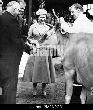 La reine Elizabeth II reçoit le don d'une vache, 1957. Banque D'Images