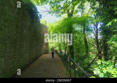 Promenade du château de Richmond. Visiteur marchant. Ce sentier sur le côté du château de Richmond. Richmond Town, Yorkshire, Angleterre, Royaume-Uni Banque D'Images