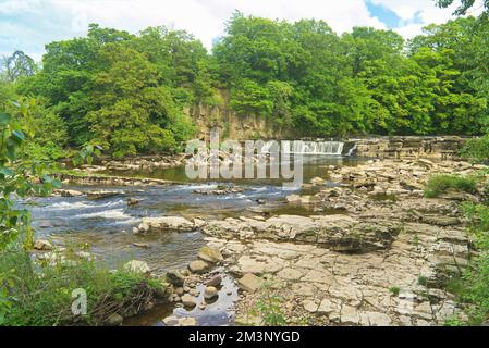 River Swale, depuis le parc de voitures Fosse, Richmond Falls, Richmond, North Yorkshire, Angleterre, Royaume-Uni Banque D'Images
