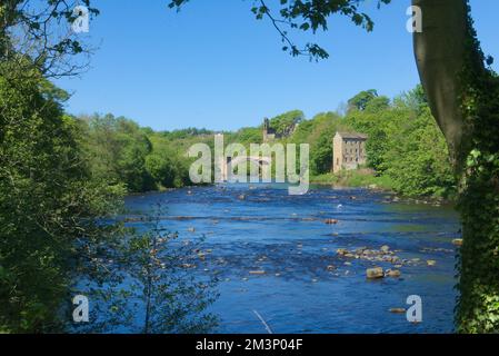 En regardant vers le nord sur les Tees jusqu'à l'ancien pont du comté (A67) et les ruines du château au-delà. Château de Barnard, comté de Durham, Angleterre Banque D'Images