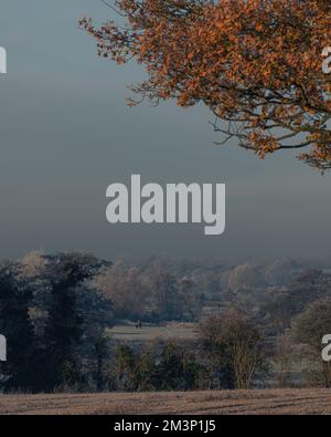 L'automne rencontre l'hiver. Tons chauds et froids. Paysage de West Bergholt, vues. Campagne d'Essex en décembre. Gel à plumes. Banque D'Images