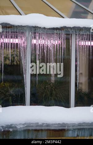 Vieux bâtiment en serre avec des glaçons suspendus du toit pendant les cycles de gel et de dégel en hiver Banque D'Images