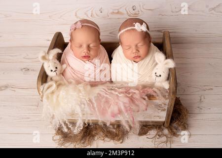 Petites filles jumelles nouveau-nés dans un cocon blanc et rose dans un joli berceau en bois. Banque D'Images