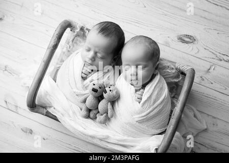 Petits nouveau-nés jumeaux dans un panier en bois avec jouets à porter. Banque D'Images