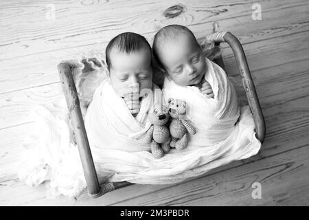Petits nouveau-nés jumeaux dans un panier en bois avec jouets à porter. Banque D'Images