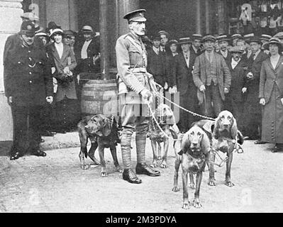 Le major Richardson part pour la Belgique avec Bloodhounds, WW1 Banque D'Images