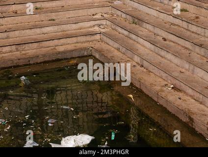 Monkey buvant dans la piscine du temple de Galtaji, Rajasthan, Jaipur, Inde Banque D'Images