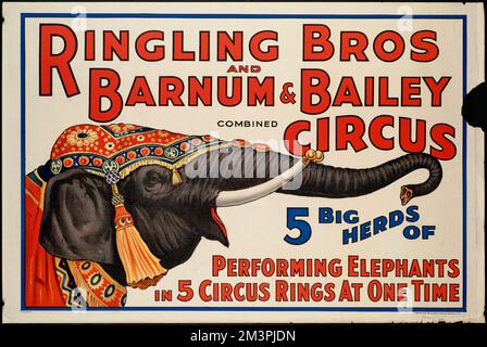 Ringling Bros et Barnum & Bailey Combined Circus : 5 grands troupeaux d'éléphants en spectacle en 5 anneaux de cirque à la fois, Circus animaux, éléphants, Ringling Brothers Barnum et Bailey Combined shows. Collection Richard Dale McMullan Banque D'Images