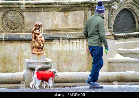 Glasgow, Écosse, Royaume-Uni 16th décembre 2022. Météo au Royaume-Uni : les températures glaciales ont vu de fortes chutes de neige saluer les habitants d'un parc de Kelvingrove, tandis qu'ils se réveillaient pour trouver une épaisse couverture sur la ville. Crédit Gerard Ferry/Alay Live News Banque D'Images