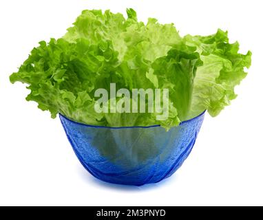 Salade de laitue dans un bol isolé sur fond blanc Banque D'Images